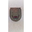 Мастер спорта Беларусь*