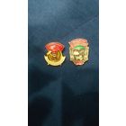 Лот знаков отличнику