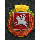 Знак Почетный гражданин - Лепельский район, Витебская область (состояние)