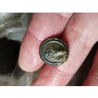 Пуговка,саперы,Франция ,малая,