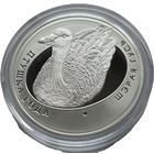 Беларусь, 10 рублей 2009 Серый гусь. Красивые. С рубля.