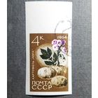 Марка СССР 1964 год Сельскохозяйственные культуры