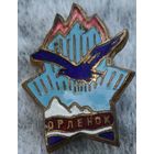 Значок орленок тяжелый