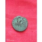 Пётр Первый,полушка,не частая