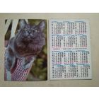 Карманный календарик . Котик. 2002 год