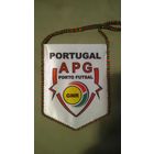 Вымпел FFC APG Porto (Португалия)