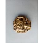 ЗНАЧОК В.Ф.РУДНЕВ