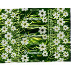 Фантик от конфеты "Ромашка" ("Коммунарка")