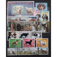 Азия. Марки 70-80-х гг. Собаки. Одним лотом с 1р без МЦ.(2)