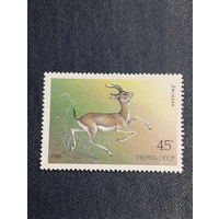 СССР 1985г. Джейран