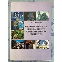 Феноменология безопасности современного общества. С. Н. Соколова