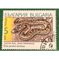 Болгария 1989. Змеи. Eryx Jaculus Turcicus