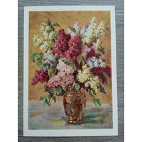 1959. Лебедев. Сирень. Почтовая карточка