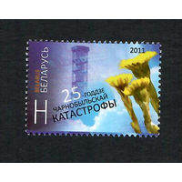 Беларусь. 2011. Чернобыль.