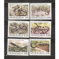 ФФ1 Венесуэла 1972 Змеи