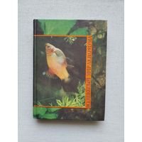 Книги с 50 копеек ! Распродажа !!!