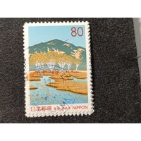 Япония, 1998. Высокогорное болото