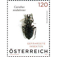 Насекомые, находящиеся под угрозой исчезновения Австрия 2024 год серия из 1 марки