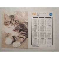 Карманный календарик. Котик.1993 год
