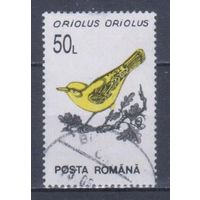 [1977] Румыния 1993. Фауна.Птицы.Иволга. Гашеная марка.