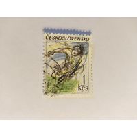 ЧССР  1992 теннис