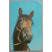 Лошадь. Календарик, 1990