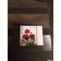 2015 Латвия флора цветы концовка (2-5)