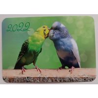 Попугайчики. Календарик, глянец, 2022. ТРАСКО