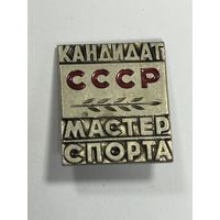 Знак мастер спорта СССР. Много Лотов с рубля