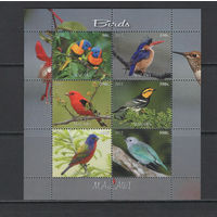 Малави 2012  Птицы