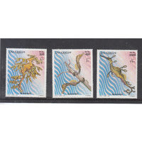 Фауна. Морские коньки. Сомали. 2001. 3 марки. Michel N 924-926 (16,0 е)