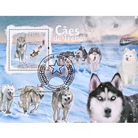Гвинея-Биссау 2009. Породы ездовых собак. Блок