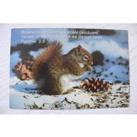 Открытка с цитатами, религия; 2002, подписана, изд. Христианская служба семьи и здоровья, Заокский (белка).