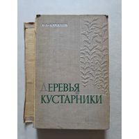 Качалов А.А. Деревья и кустарники. Справочник. Под редакцией профессора А.И. Колесникова. М Лесная промышленность. 1970г. - 8