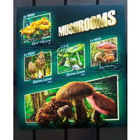 ЛИСТ ФЛОРА ЦВЕТЫ ГРИБЫ  СТО