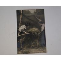 1903 год Либава    открытка