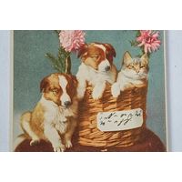 До 1917 года Открытка