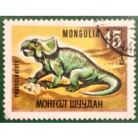 Монголия. Фауна. Динозавры. Protoceratos