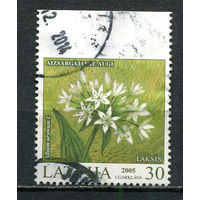 Латвия - 2005 - Цветы 30S - [Mi.632Do] - 1 марка. Гашеная.  (Лот 6HY)-TG3P47