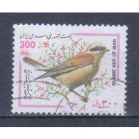 [532] Иран 2000. Фауна.Птицы. Гашеная марка.