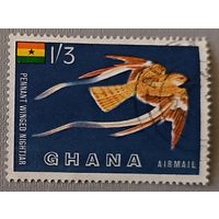 Гана.фауна