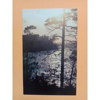 Открытка,1985