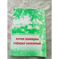 Куток дзiвосны гнездау салауiных\022