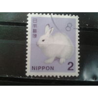 Япония, 2014. Заяц-беляк