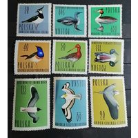 Польша 1964 птицы