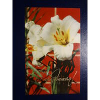 С праздником!  Лилии.  1972 г.  подписанная.