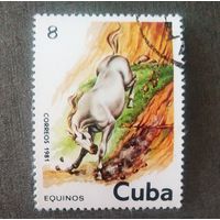 Марка Куба 1981 Лошадь