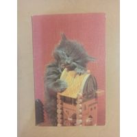 Календарь 1990 кошки/4