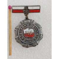 Знак ПНР. Заслуженный активист Национального Фронта Единства. FJN. тяжёлый