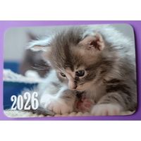 Котенок. Календарик, глянец, 2026.ТРАСКО
